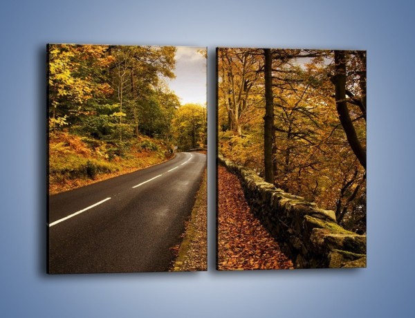Obraz na płótnie – Asfaltową droga przez las – dwuczęściowy prostokątny pionowy KN169