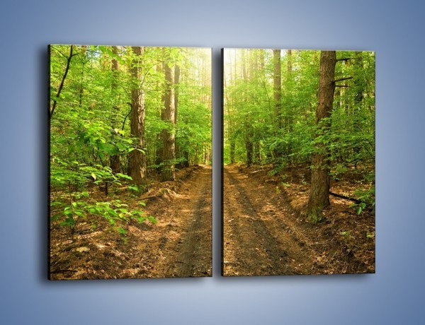 Obraz na płótnie – Leśną drogą jak z filmu – dwuczęściowy prostokątny pionowy KN324