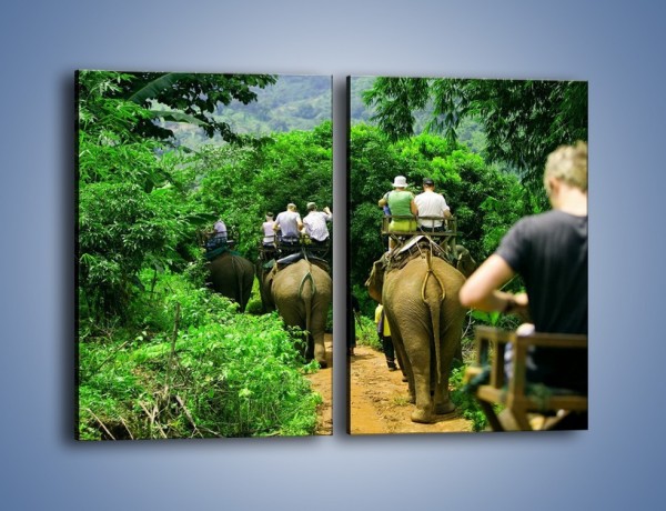 Obraz na płótnie – Podróż na słoniu – dwuczęściowy prostokątny pionowy KN414