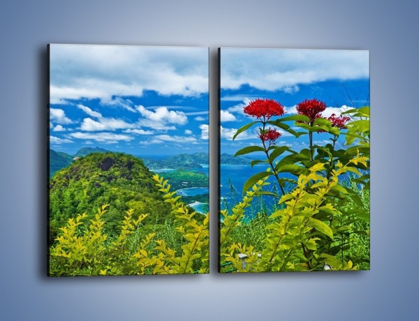 Obraz na płótnie – Bordowe kwiaty w górskim krajobrazie – dwuczęściowy prostokątny pionowy KN561