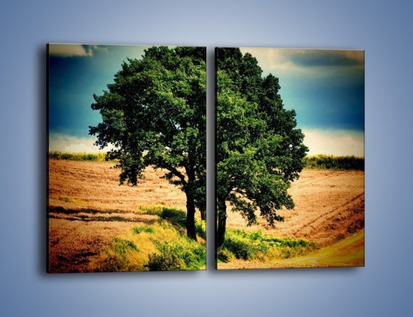 Obraz na płótnie – Para zaprzyjaźnionych drzew – dwuczęściowy prostokątny pionowy KN571
