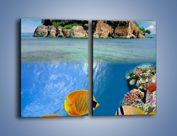 Obraz na płótnie – Podwodny świat na wyspie – dwuczęściowy prostokątny pionowy KN586