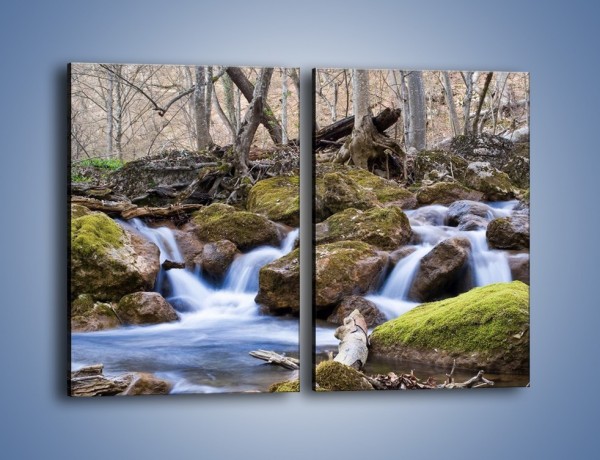 Obraz na płótnie – Rwący potok w chłodny dzień – dwuczęściowy prostokątny pionowy KN676
