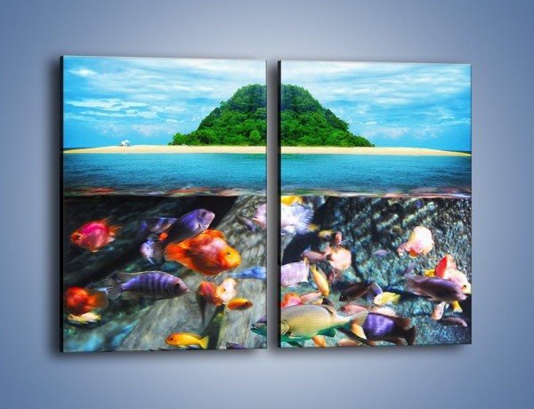 Obraz na płótnie – Kolorowy świat ryb – dwuczęściowy prostokątny pionowy KN906