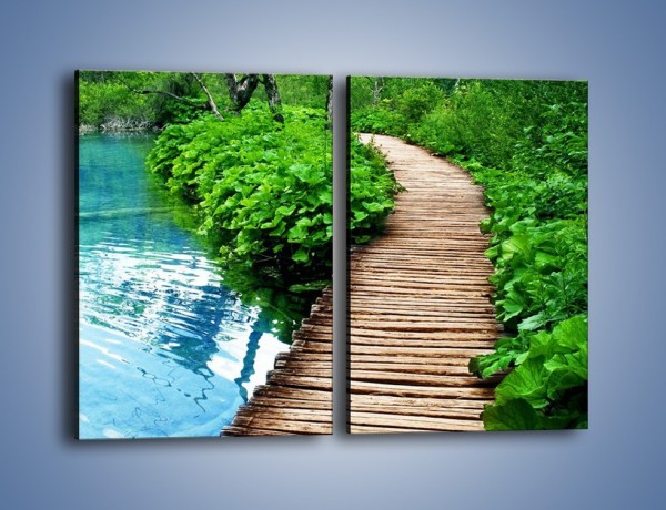 Obraz na płótnie – Most obrośnięty zielenią – dwuczęściowy prostokątny pionowy KN924
