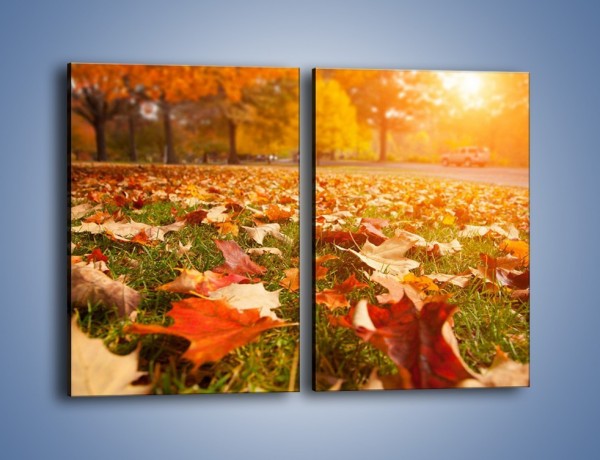 Obraz na płótnie – Jesień na trawie – dwuczęściowy prostokątny pionowy KN966