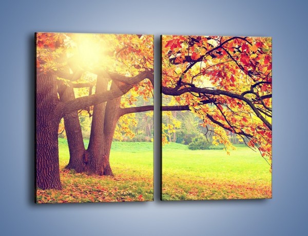 Obraz na płótnie – Jesienią w parku też jest pięknie – dwuczęściowy prostokątny pionowy KN967