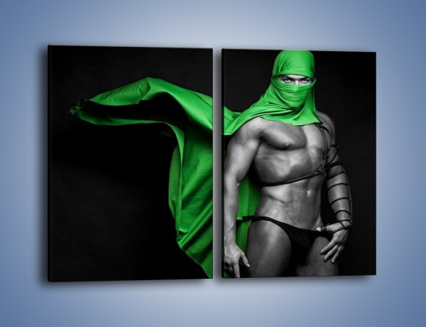 Obraz na płótnie – Zielony ninja – dwuczęściowy prostokątny pionowy L245