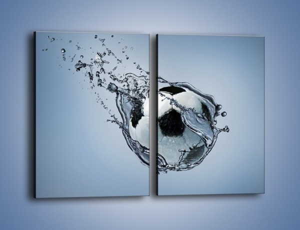 Obraz na płótnie – Piłka w wodnej skorupce – dwuczęściowy prostokątny pionowy O015