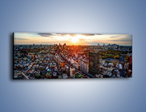 Obraz na płótnie – Panorama miasta o zachodzie słońca – jednoczęściowy panoramiczny AM587