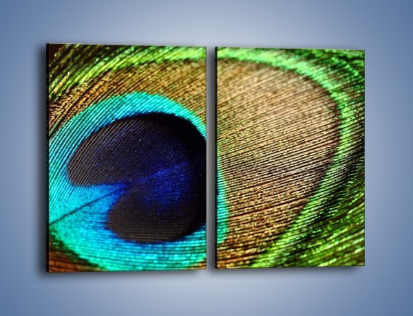 Obraz na płótnie – Cudowne pawie oko – dwuczęściowy prostokątny pionowy O048