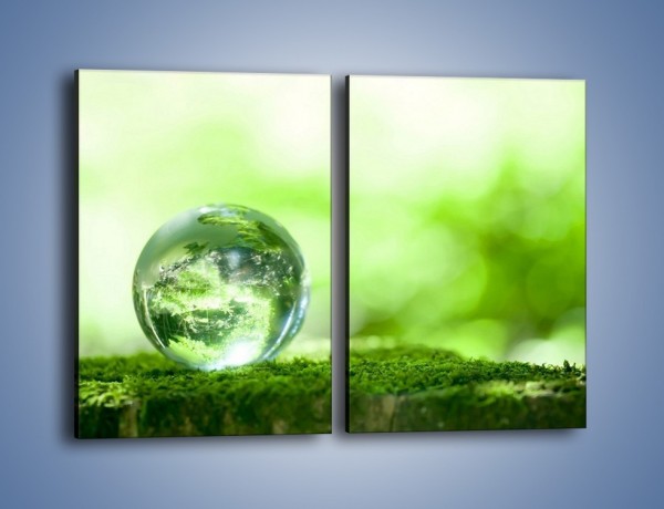 Obraz na płótnie – Roślinny świat w wodnej kuli – dwuczęściowy prostokątny pionowy O178