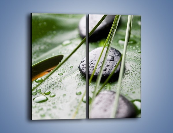 Obraz na płótnie – Krople deszczu na liściu – dwuczęściowy prostokątny pionowy O203