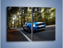 Obraz na płótnie – Ford Shelby GT500 – dwuczęściowy prostokątny pionowy TM039