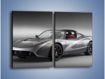 Obraz na płótnie – TAG Heuer Tesla Roadster – dwuczęściowy prostokątny pionowy TM055