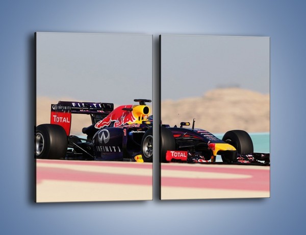 Obraz na płótnie – F1 Infiniti Red Bull – dwuczęściowy prostokątny pionowy TM241