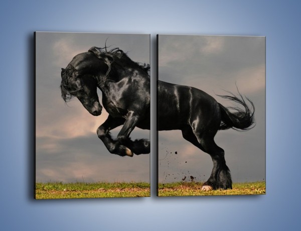 Obraz na płótnie – Niespokojny dziki koń – dwuczęściowy prostokątny pionowy Z001