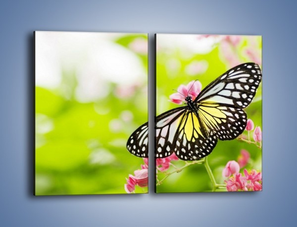 Obraz na płótnie – Motyl w letni poranek – dwuczęściowy prostokątny pionowy Z004