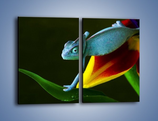 Obraz na płótnie – Liść w łapce kameleona – dwuczęściowy prostokątny pionowy Z005