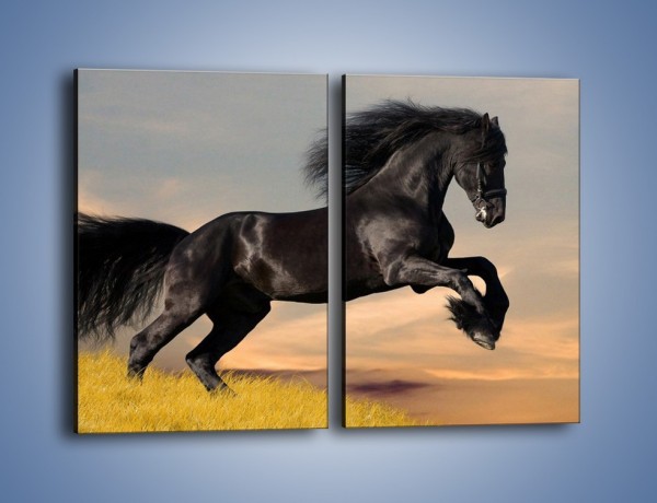 Obraz na płótnie – Czarny koń w galopie – dwuczęściowy prostokątny pionowy Z008