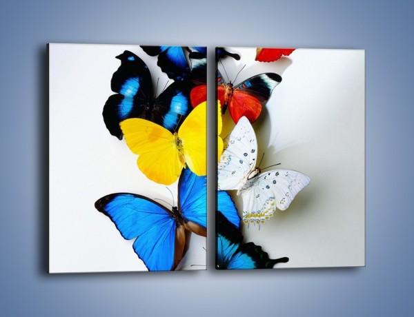 Obraz na płótnie – Kompozycja kolorowych motyli – dwuczęściowy prostokątny pionowy Z009