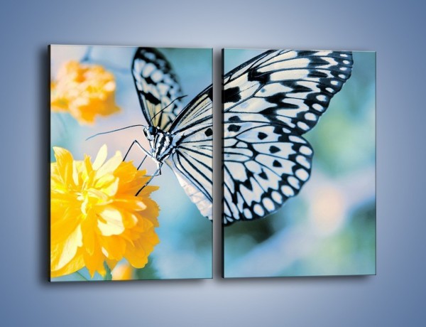 Obraz na płótnie – Motyw zebry w motylu – dwuczęściowy prostokątny pionowy Z010