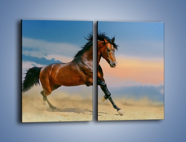 Obraz na płótnie – Brązowy koń na pustyni – dwuczęściowy prostokątny pionowy Z011