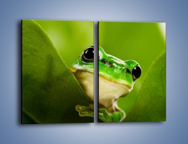 Obraz na płótnie – Zielony świat żabki – dwuczęściowy prostokątny pionowy Z014