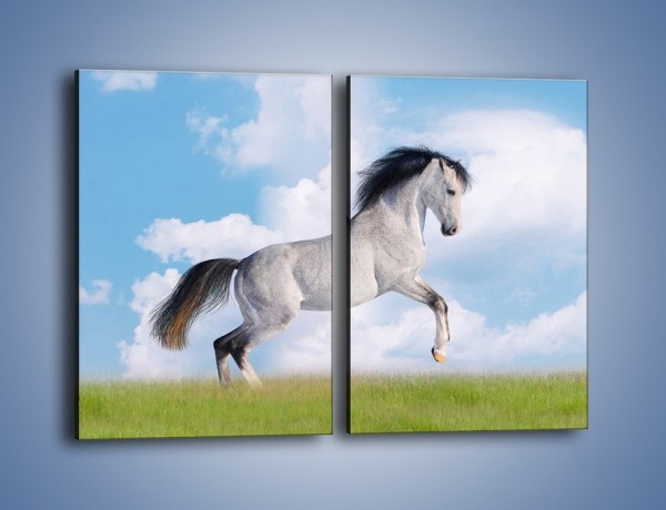 Obraz na płótnie – Białe obłoki i koń – dwuczęściowy prostokątny pionowy Z019