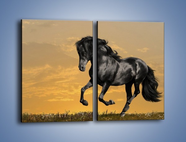 Obraz na płótnie – Bieg z koniem po polanie – dwuczęściowy prostokątny pionowy Z057