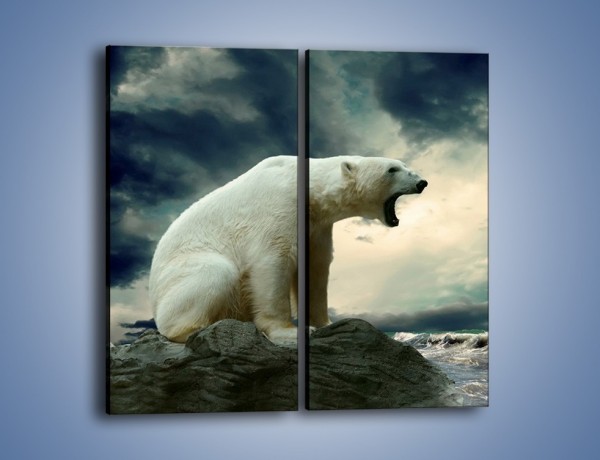 Obraz na płótnie – Donośny krzyk polarnego niedźwiedzia – dwuczęściowy prostokątny pionowy Z114