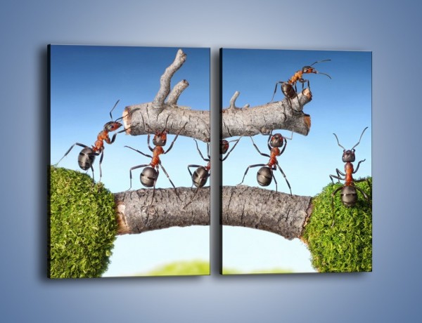 Obraz na płótnie – Pracowite jak mróweczki – dwuczęściowy prostokątny pionowy Z133