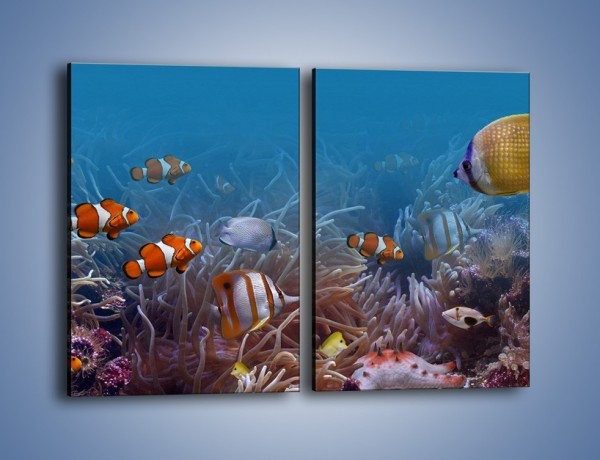 Obraz na płótnie – Ocean i jego kolorowi towarzysze – dwuczęściowy prostokątny pionowy Z168