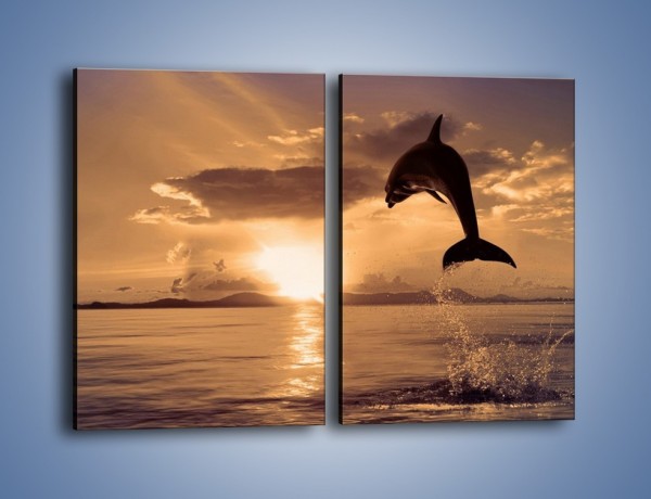 Obraz na płótnie – Z delfinem w stronę zachodzącego słońca – dwuczęściowy prostokątny pionowy Z170