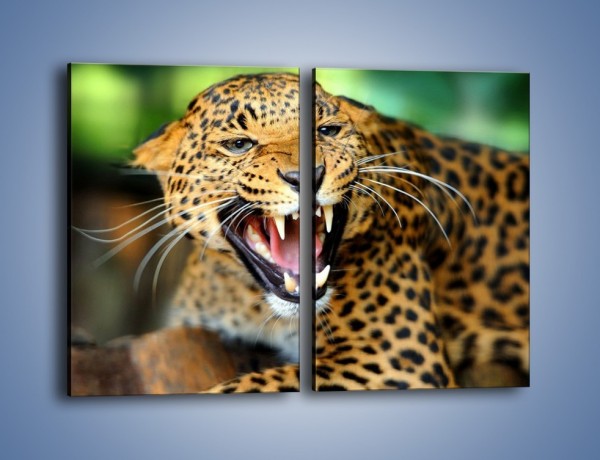 Obraz na płótnie – Jaguar z pazurem – dwuczęściowy prostokątny pionowy Z184