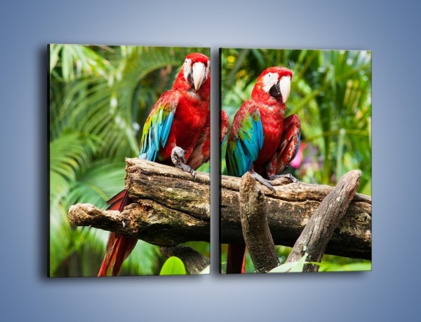 Obraz na płótnie – Papużki nierozłączki – dwuczęściowy prostokątny pionowy Z188