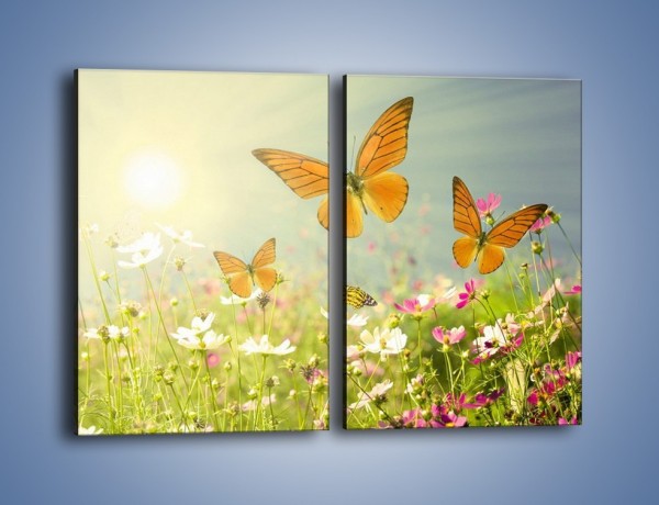 Obraz na płótnie – Z motylem wśród kwiatów – dwuczęściowy prostokątny pionowy Z193