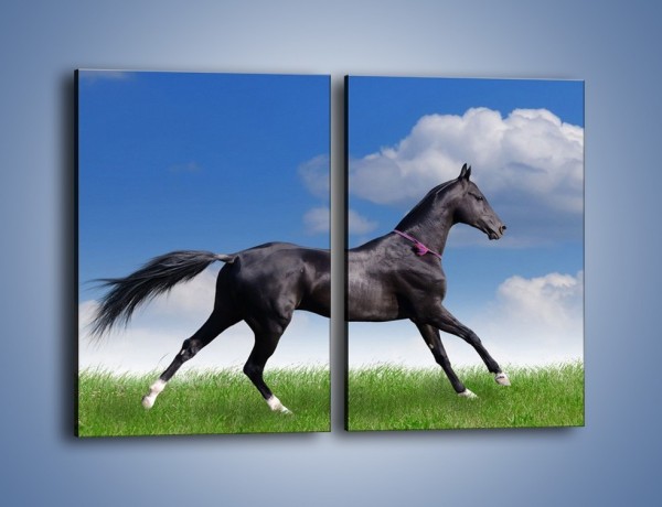 Obraz na płótnie – Dziki koń w biegu – dwuczęściowy prostokątny pionowy Z194