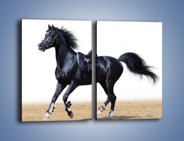 Obraz na płótnie – Na przejażdżkę konną – dwuczęściowy prostokątny pionowy Z203