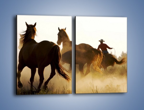 Obraz na płótnie – Cowboy wśród koni – dwuczęściowy prostokątny pionowy Z206
