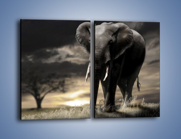Obraz na płótnie – Smutna wędrówka słoni – dwuczęściowy prostokątny pionowy Z207