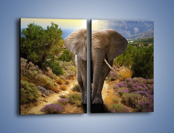 Obraz na płótnie – Moc i potęga słonia – dwuczęściowy prostokątny pionowy Z210