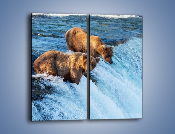 Obraz na płótnie – Niedźwiedzie na zjeżdżalni – dwuczęściowy prostokątny pionowy Z213