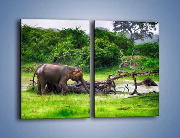 Obraz na płótnie – Kąpiel ze słoniem – dwuczęściowy prostokątny pionowy Z216