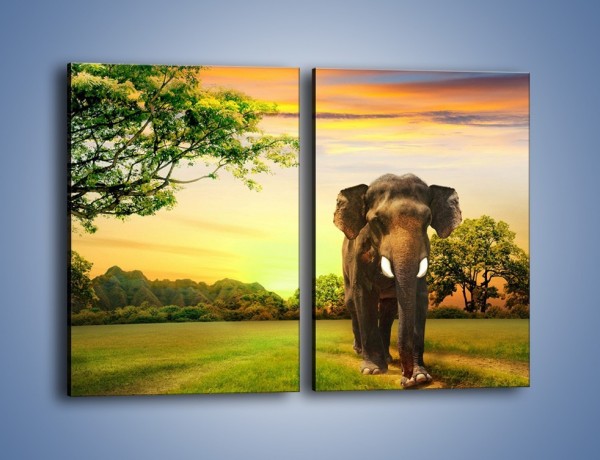 Obraz na płótnie – Lekki krok słonia – dwuczęściowy prostokątny pionowy Z218