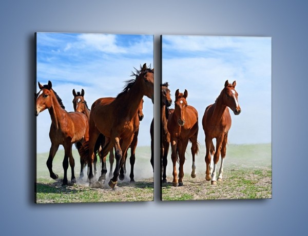 Obraz na płótnie – Konie na wybiegu – dwuczęściowy prostokątny pionowy Z222