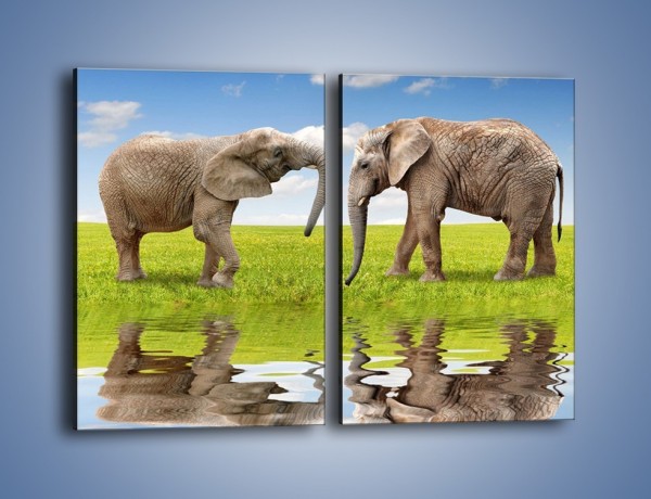 Obraz na płótnie – Poważne rozmowy słoni – dwuczęściowy prostokątny pionowy Z228