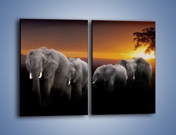 Obraz na płótnie – Powrót słoni do domu – dwuczęściowy prostokątny pionowy Z229