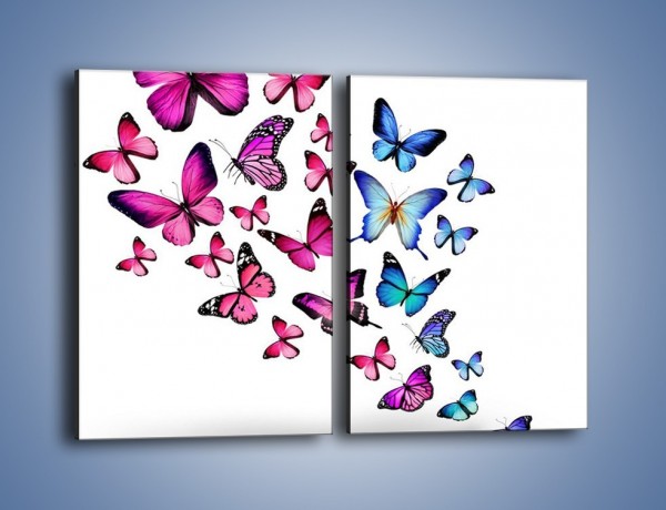 Obraz na płótnie – Rodzina kolorowych motyli – dwuczęściowy prostokątny pionowy Z235