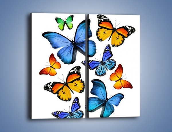 Obraz na płótnie – Kolory lata w motylich skrzydłach – dwuczęściowy prostokątny pionowy Z237